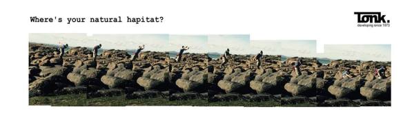 14355649_554045531447827_6172275636279720288_n