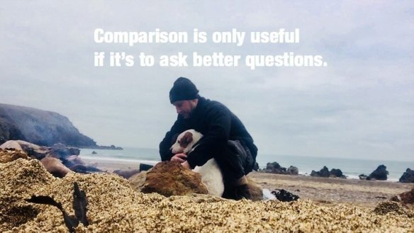 50084464_981693295349713_719773241056428032_n