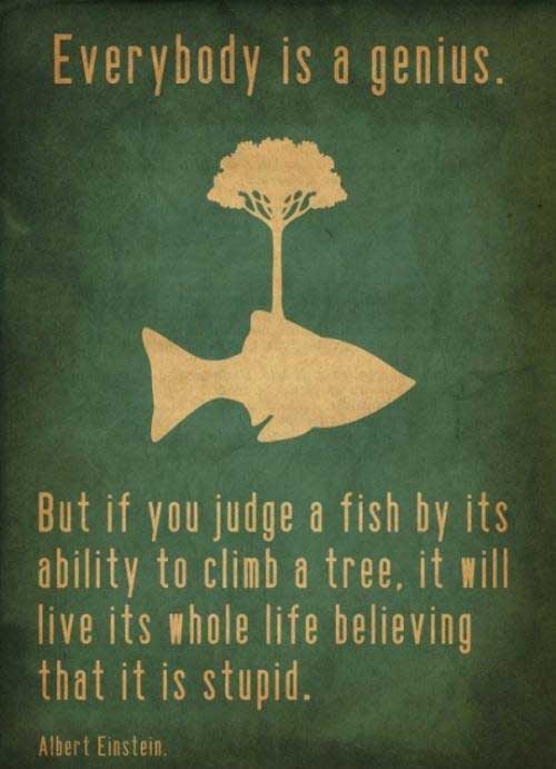 everybody-is-genius-Albert-Einstein-2fvkq7u
