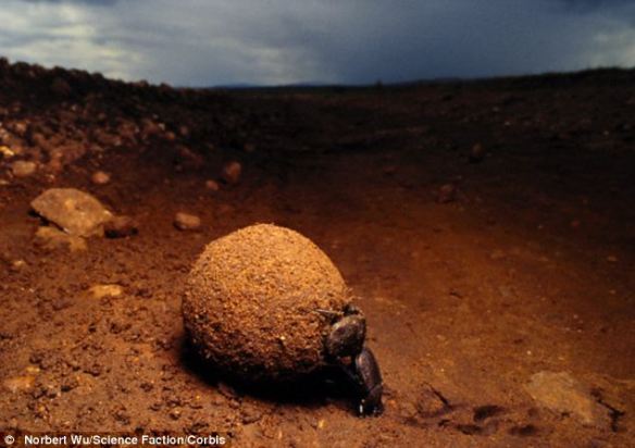 article-0-17247692000005DC-717_634x448